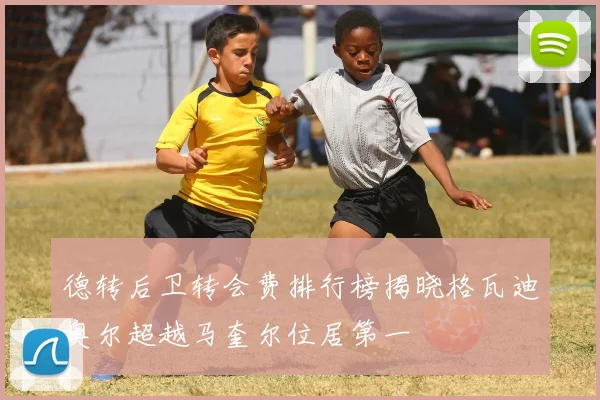 德转后卫转会费排行榜揭晓格瓦迪奥尔超越马奎尔位居第一